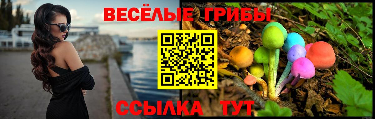 Псилоцибиновые грибы Psilocybine cubensis Усть-Илимск