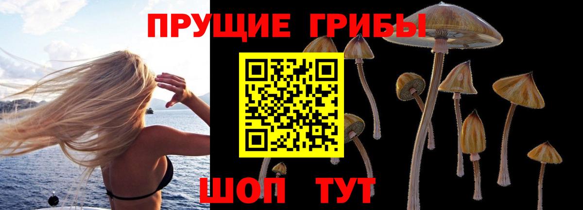 Псилоцибиновые грибы мухоморы  Вход с VPN  Усть-Илимск 